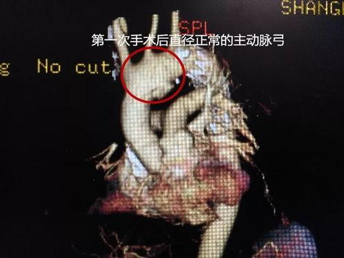 降临他的盛夏,盛夏的奇幻之旅